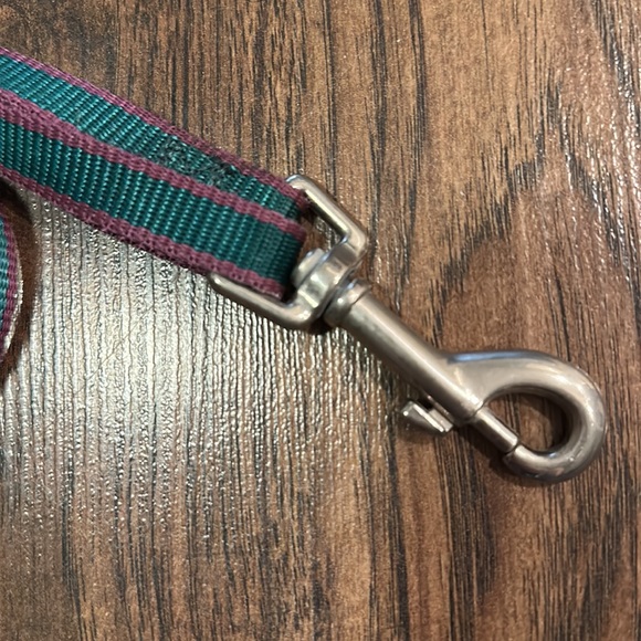 Control Double Leash with 1  Adjustable side. - Picture 3 of 4